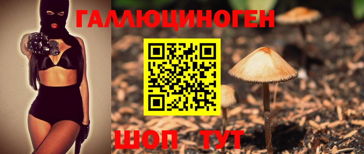 Галлюциногенные грибы Magic Shrooms  Вход с VPN  Галлюциногенные грибы Psilocybe  Лениногорск 